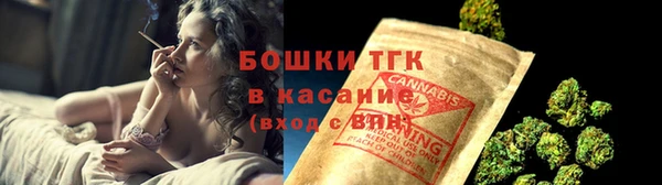 ГАЛЛЮЦИНОГЕННЫЕ ГРИБЫ Горно-Алтайск