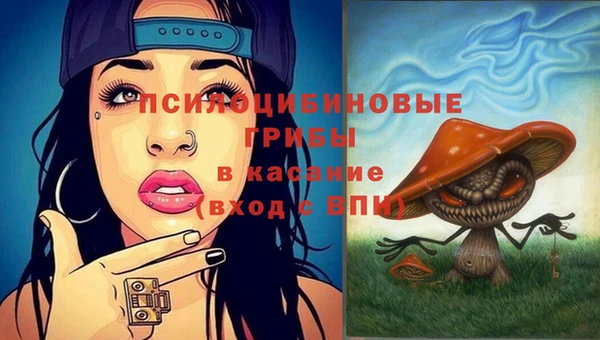 mdma Горнозаводск