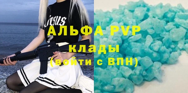 ГАЛЛЮЦИНОГЕННЫЕ ГРИБЫ Горно-Алтайск