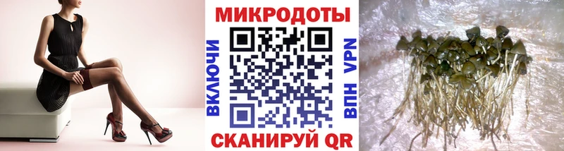 Галлюциногенные грибы Magic Shrooms  продажа наркотиков  Донской 