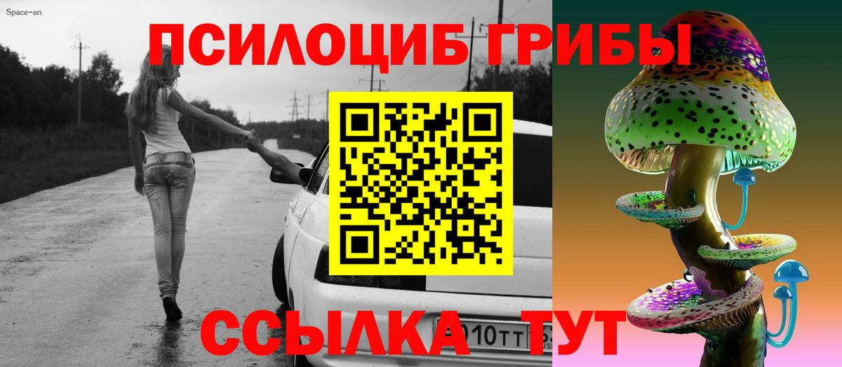 Псилоцибиновые грибы мухоморы Донской