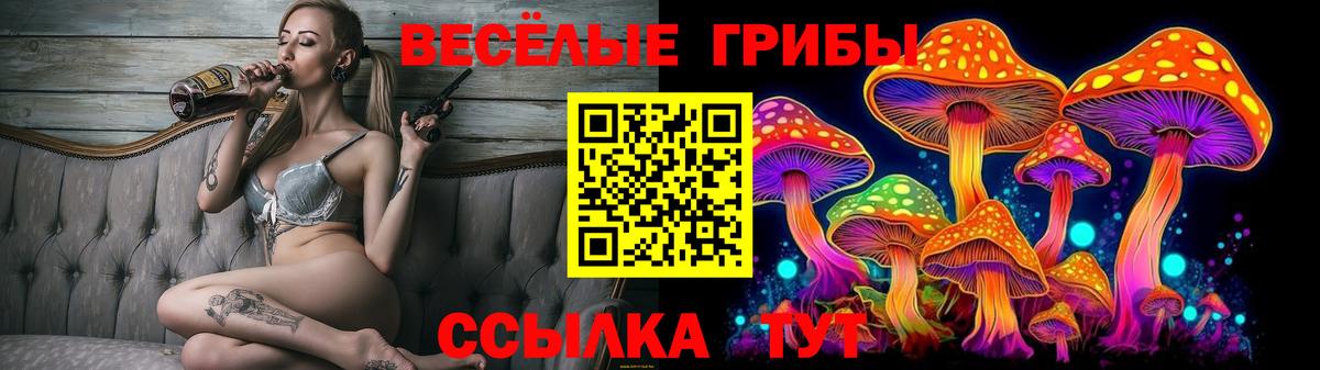 Донской  наркотики  Вход с VPN  Псилоцибиновые грибы GOLDEN TEACHER 